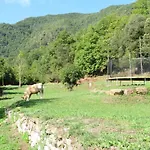 El Moli De Baix *